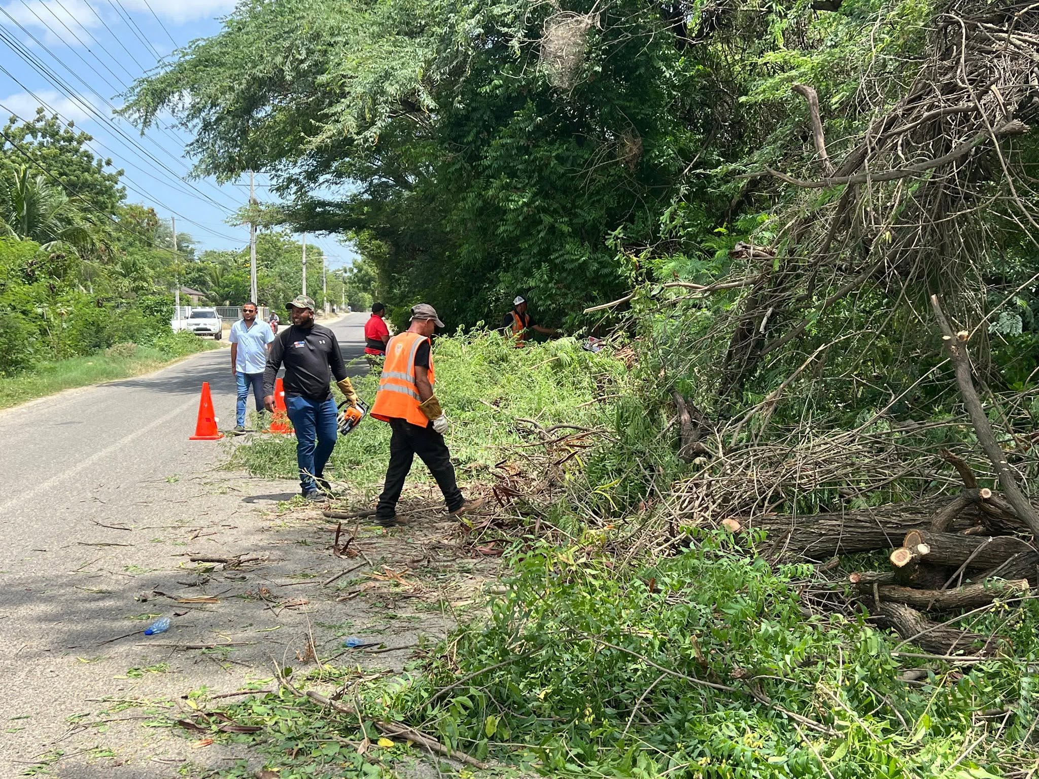 Continuamos desarrollando el gran operativo de poda y limpieza en la avenida
