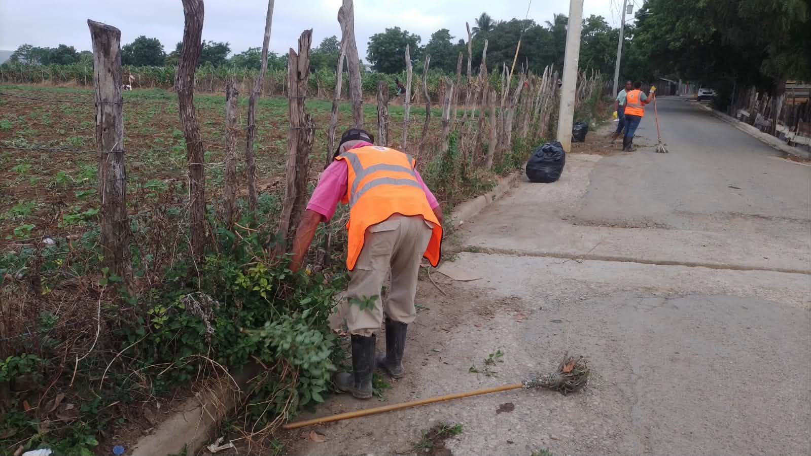 Ornato activo en QUIJAQUIETA